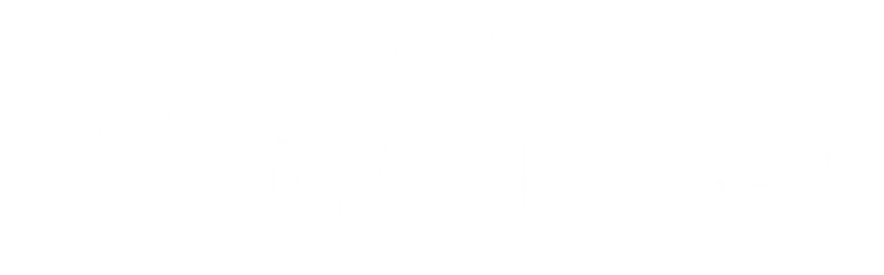 LePetitPinarello