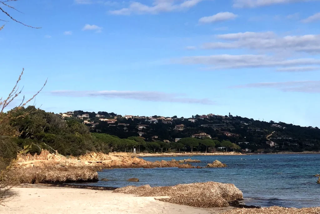 Rivage rocheux et maquis au bord de l'eau, en Corse-du-Sud