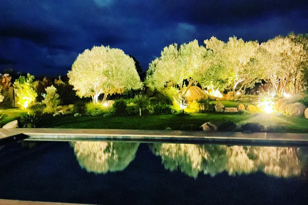 Piscine de la villa la nuit, oliviers éclairés qui se reflètent dans l'eau